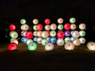 国営昭和記念公園 秋の夜散歩に投稿された画像（2023/11/14）