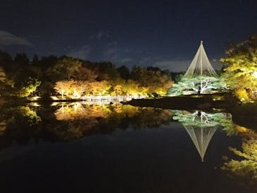 国営昭和記念公園 秋の夜散歩に投稿された画像（2023/11/14）