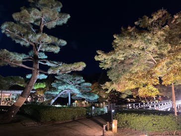 国営昭和記念公園 秋の夜散歩に投稿された画像（2023/11/14）