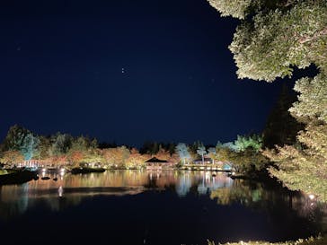 国営昭和記念公園 秋の夜散歩に投稿された画像（2023/11/14）