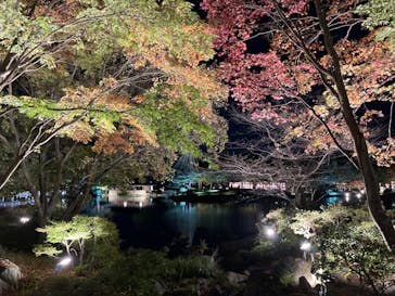 国営昭和記念公園 秋の夜散歩に投稿された画像（2023/11/14）