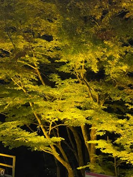 京阪電車に投稿された画像（2023/11/14）