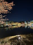 国営昭和記念公園 秋の夜散歩に投稿された画像（2023/11/15）
