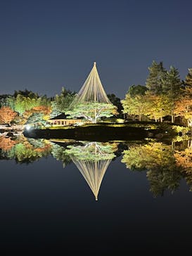 国営昭和記念公園 秋の夜散歩に投稿された画像（2023/11/14）