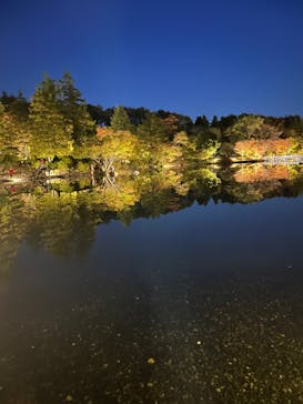 国営昭和記念公園 秋の夜散歩に投稿された画像（2023/11/14）