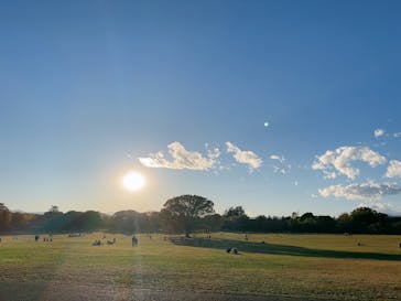 国営昭和記念公園 秋の夜散歩に投稿された画像（2023/11/14）