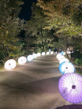 国営昭和記念公園 秋の夜散歩に投稿された画像（2023/11/14）