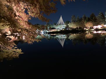 国営昭和記念公園 秋の夜散歩に投稿された画像（2023/11/14）