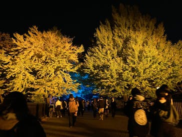 国営昭和記念公園 秋の夜散歩に投稿された画像（2023/11/14）