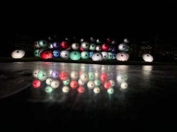 国営昭和記念公園 秋の夜散歩に投稿された画像（2023/11/14）