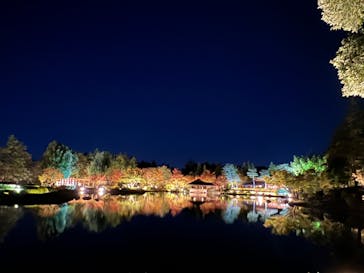 国営昭和記念公園 秋の夜散歩に投稿された画像（2023/11/15）