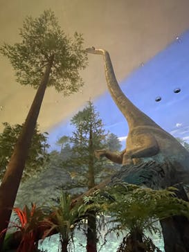 福井県立恐竜博物館に投稿された画像（2023/11/15）