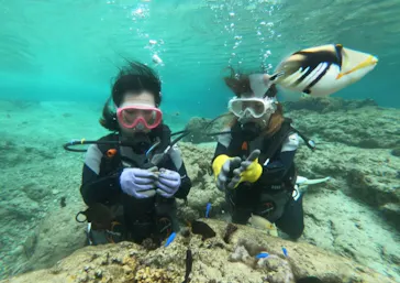 武藤潜水に投稿された画像（2023/11/15）