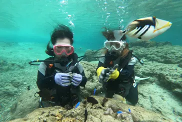 武藤潜水に投稿された画像（2023/11/15）