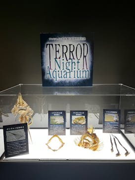 サンシャイン水族館に投稿された画像（2023/11/15）