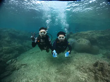 武藤潜水に投稿された画像（2023/11/15）