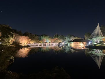 国営昭和記念公園 秋の夜散歩に投稿された画像（2023/11/15）