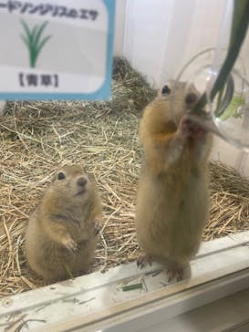 アニタッチアクアシティお台場に投稿された画像（2023/11/15）