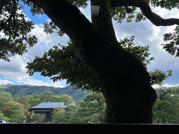 足立美術館に投稿された画像（2023/11/15）