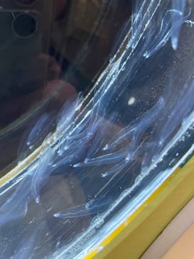 特別展「和食 ～日本の自然、人々の知恵～」に投稿された画像（2023/11/15）