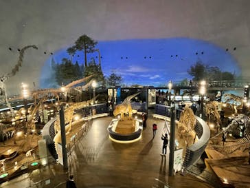 福井県立恐竜博物館に投稿された画像（2023/11/15）