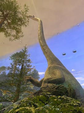 福井県立恐竜博物館に投稿された画像（2023/11/15）