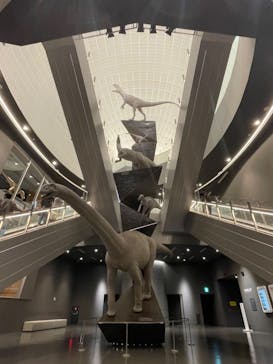 福井県立恐竜博物館に投稿された画像（2023/11/15）