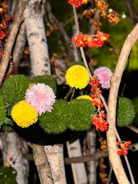 NAKED meets 二条城 2025 観月に投稿された画像（2023/11/15）