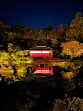 NAKED meets 二条城 2025 観月に投稿された画像（2023/11/15）