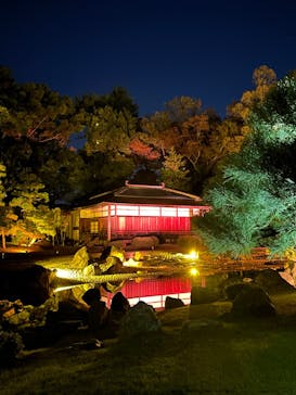 NAKED meets 二条城 2025 観月に投稿された画像（2023/11/15）