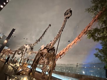 福井県立恐竜博物館に投稿された画像（2023/11/15）