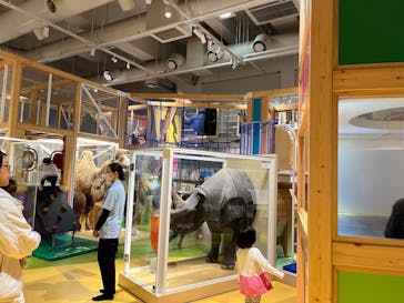 国立科学博物館に投稿された画像（2023/11/15）