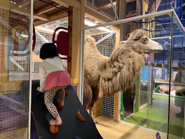 国立科学博物館に投稿された画像（2023/11/15）