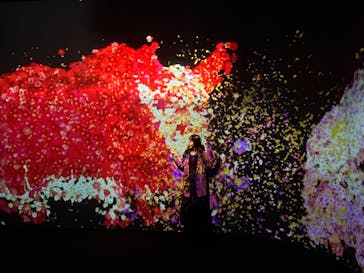 チームラボに投稿された画像（2023/11/15）