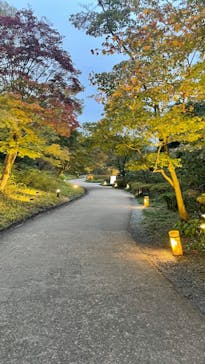 国営昭和記念公園 秋の夜散歩に投稿された画像（2023/11/15）