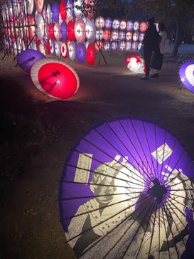 国営昭和記念公園 秋の夜散歩に投稿された画像（2023/11/15）