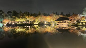 国営昭和記念公園 秋の夜散歩に投稿された画像（2023/11/15）