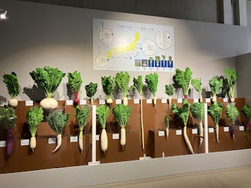 特別展「和食 ～日本の自然、人々の知恵～」に投稿された画像（2023/11/15）