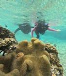 宮古島 ADVENTURE PiPi（ミヤコジマ アドベンチャー ピピ）に投稿された画像（2023/11/15）