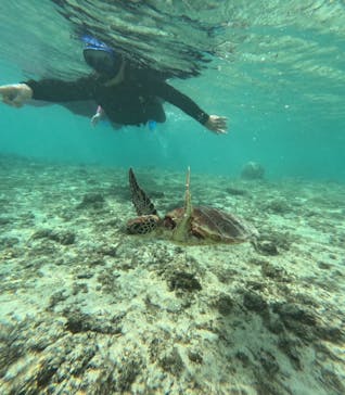 宮古島 ADVENTURE PiPi（ミヤコジマ アドベンチャー ピピ）に投稿された画像（2023/11/15）