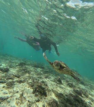 宮古島 ADVENTURE PiPi（ミヤコジマ アドベンチャー ピピ）に投稿された画像（2023/11/15）