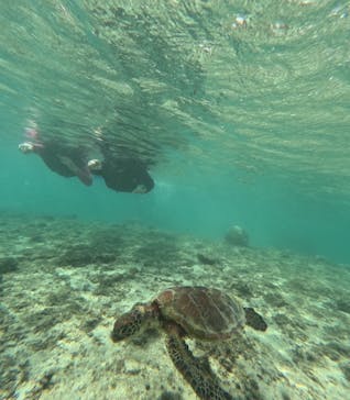 宮古島 ADVENTURE PiPi（ミヤコジマ アドベンチャー ピピ）に投稿された画像（2023/11/15）