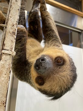 アニタッチみなとみらいに投稿された画像（2023/11/15）