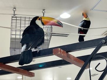 アニタッチみなとみらいに投稿された画像（2023/11/15）