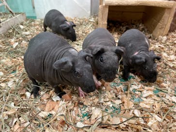 アニタッチみなとみらいに投稿された画像（2023/11/15）