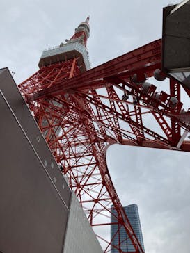 東京タワーに投稿された画像（2023/11/15）