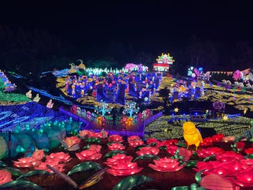 伊豆ぐらんぱる公園に投稿された画像（2023/11/15）