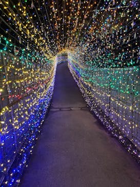 伊豆ぐらんぱる公園に投稿された画像（2023/11/15）