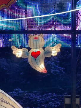 伊豆ぐらんぱる公園に投稿された画像（2023/11/15）