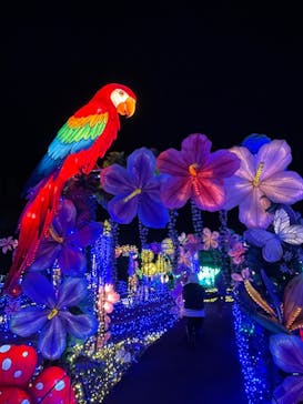 伊豆ぐらんぱる公園に投稿された画像（2023/11/15）